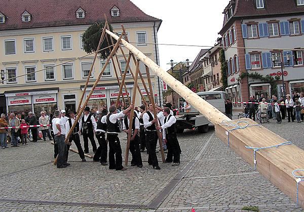Maibaum